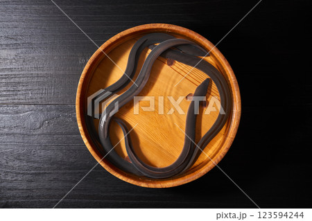 桶の中で泳ぐ鰻 123594244