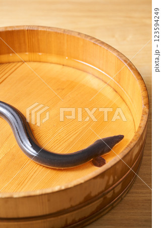 桶の中で泳ぐ鰻 桶の中で泳ぐ鰻 123594249