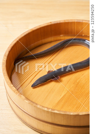 桶の中で泳ぐ鰻 123594250