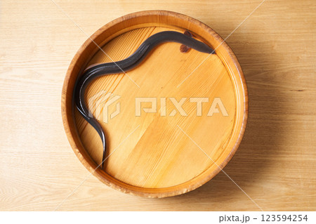 桶の中で泳ぐ鰻 123594254