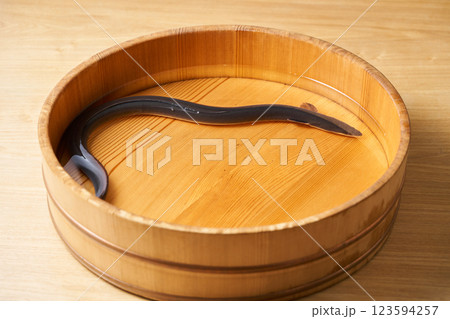 桶の中で泳ぐ鰻 桶の中で泳ぐ鰻 123594257