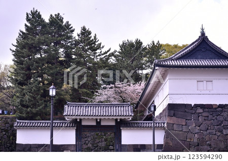 北の丸公園　桜と清水門 123594290