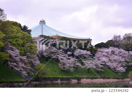 桜 北の丸公園 桜 北の丸公園 123594292