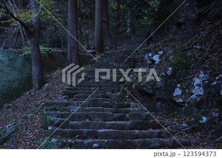 参道の登り階段 参道の登り階段 123594373