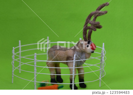 柵の中にいるトナカイ 123594483