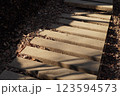 光の当たる木道 123594573