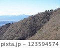 登山道から見た山の斜面 123594574