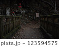 暗がりの橋の上 123594575