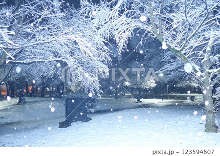本庄総合公園の夜 123594607