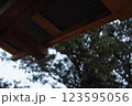 屋根から覗く木々 123595056