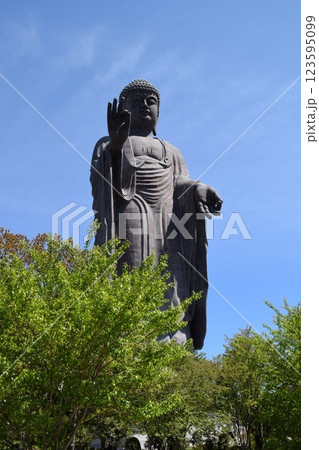 牛久大仏 世界最大のブロンズ立像 牛久大仏 世界最大のブロンズ立像 123595099