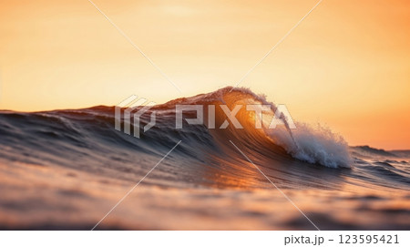 sunset inside a curling ocean wave sunset inside a curling ocean wave 123595421