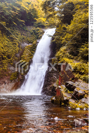 宮城県　秋保大滝の紅葉 123595566