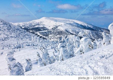 冠雪の八甲田山の樹氷 123595649
