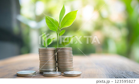 積み重ねたコインから芽吹く植物と持続可能な投資の概念 積み重ねたコインから芽吹く植物と持続可能な投資の概念 123595827