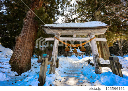 白川八幡神社の鳥居とスギ 123596161