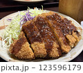 ソースをかけたトンカツ 123596179