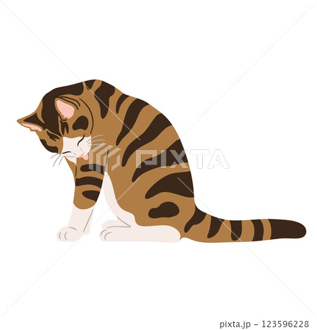 毛繕いする三毛猫のイラスト 123596228