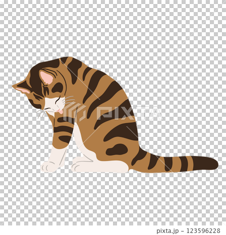 毛繕いする三毛猫のイラスト 123596228