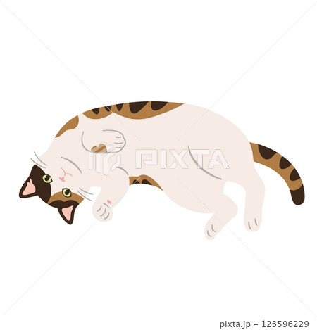 のんびりくつろいでいる三毛猫のイラスト 123596229