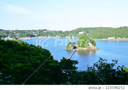 下田あじさい祭り 下田あじさい祭り 123596252