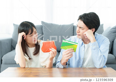 夫婦　お金のトラブル 123596309