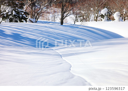 冠雪の八甲田山の雪原 123596317