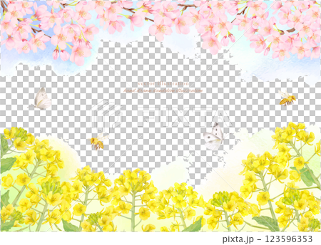 水彩櫻花和油菜花框架背景材料 123596353