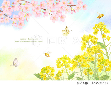 水彩で描いた桜と菜の花のフレーム背景素材 水彩で描いた桜と菜の花のフレーム背景素材 123596355