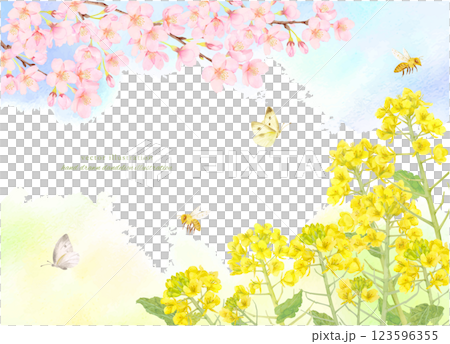 水彩で描いた桜と菜の花のフレーム背景素材 水彩で描いた桜と菜の花のフレーム背景素材 123596355