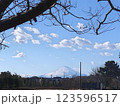 冬の青空の下の富士山 123596517