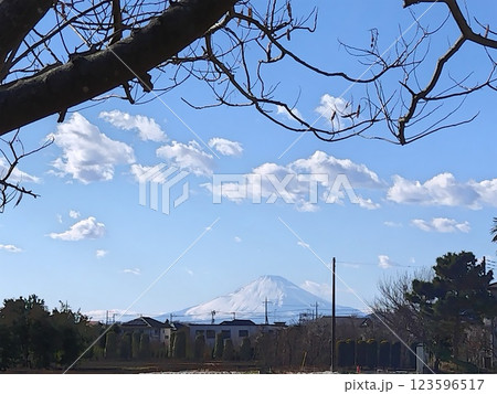 冬の青空の下の富士山 123596517