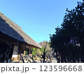 古民家と冬の青空 123596668