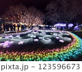 足柄フラワパークのイルミネーション 123596673