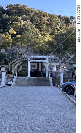 安房神社 房総半島 パワースポット 安房神社 房総半島 パワースポット 123596782
