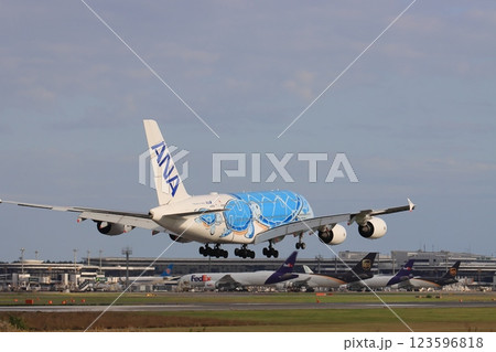 着陸するフライングホヌ　エアバスA380 123596818