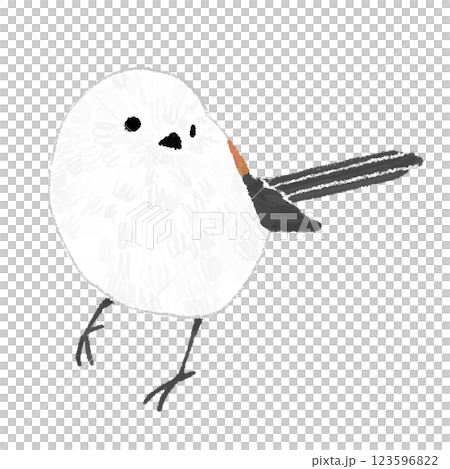 シマエナガの手書きイラスト シマエナガの手書きイラスト 123596822