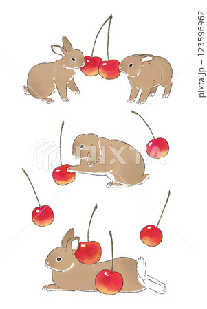 さくらんぼと茶色いうさぎたちのイラストセット 123596962