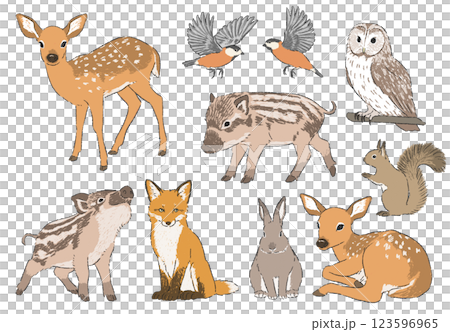 Hand-drawn illustration set of forest animals 123596965