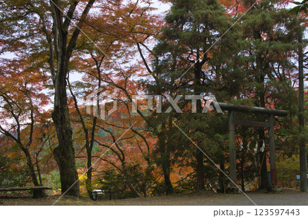 秩父御岳神社・東郷公園 参道の鳥居と美しいもみじ 埼玉県飯能市 秩父御岳神社・東郷公園 参道の鳥居と美しいもみじ 埼玉県飯能市 123597443