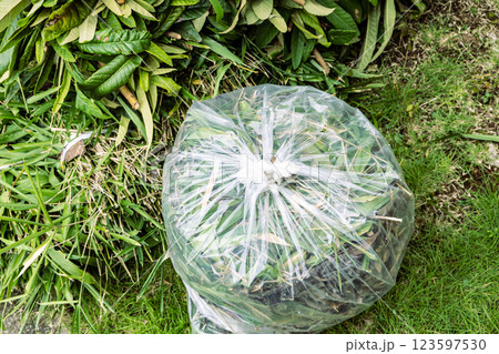 植物の処分方法 123597530