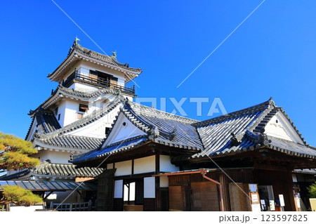 【高知県】快晴の高知城 天守閣と本丸御殿（懐徳館） 123597825