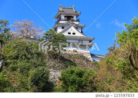【高知県】快晴の高知城と満開の桜 123597833