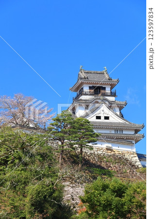【高知県】快晴の高知城と満開の桜 123597834