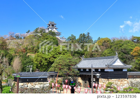 【高知県】晴天の高知城と追手門と満開の桜 【高知県】晴天の高知城と追手門と満開の桜 123597836