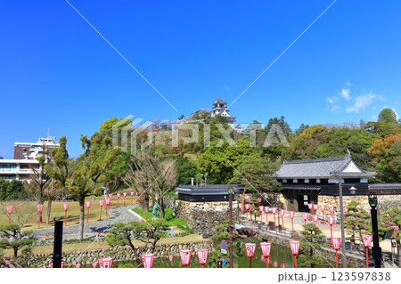 【高知県】晴天の高知城と追手門と満開の桜 123597838