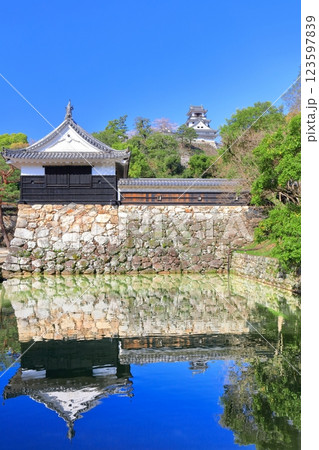 【高知県】シンメトリーな高知城と追手門と満開の桜 【高知県】シンメトリーな高知城と追手門と満開の桜 123597839