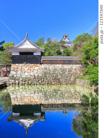 【高知県】シンメトリーな高知城と追手門と満開の桜 123597840