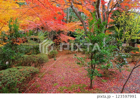 金剛輪寺 金剛輪寺 123597991