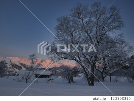 美しい白馬三山のモルゲンロートと霧氷　長野県白馬村 123598310